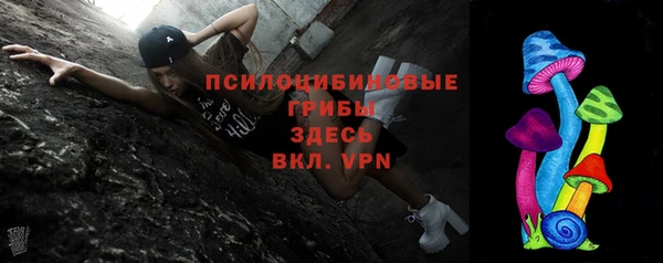 ГАЛЛЮЦИНОГЕННЫЕ ГРИБЫ Алзамай