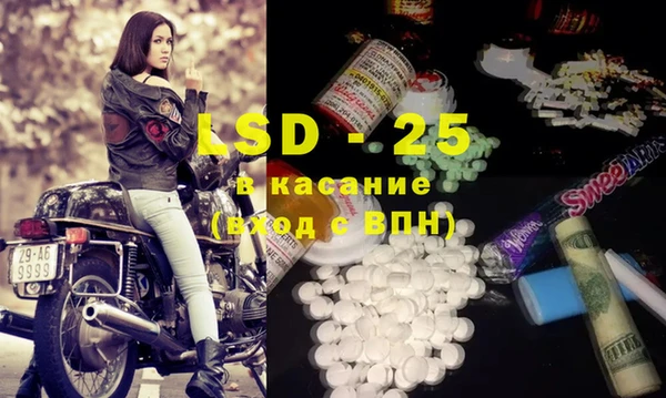 ГАЛЛЮЦИНОГЕННЫЕ ГРИБЫ Алзамай