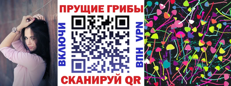 дарнет шоп  ссылка на мегу рабочий сайт  мориарти формула  Ишим  Галлюциногенные грибы мухоморы 