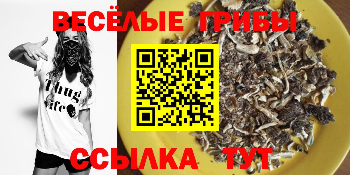 Псилоцибиновые грибы ЛСД  Псилоцибиновые грибы Cubensis  Ишим  Вход с VPN 
